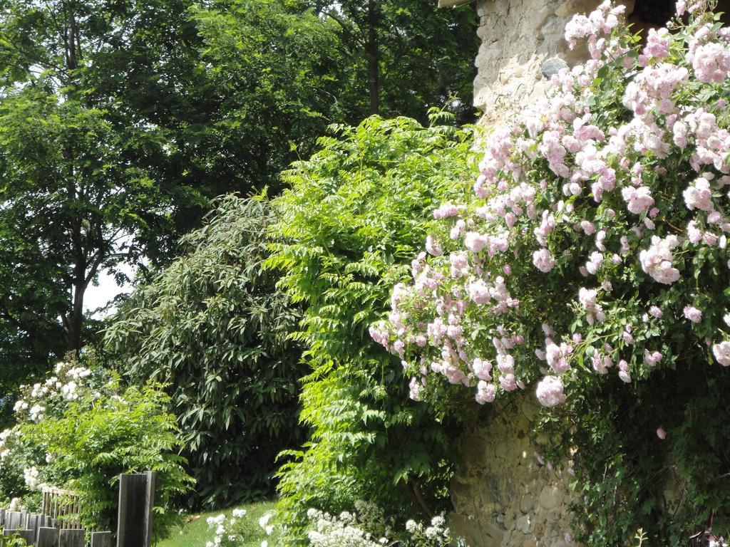 Villa Un Gite de Charme en Haute Provence à Sigoyer  Chambre photo