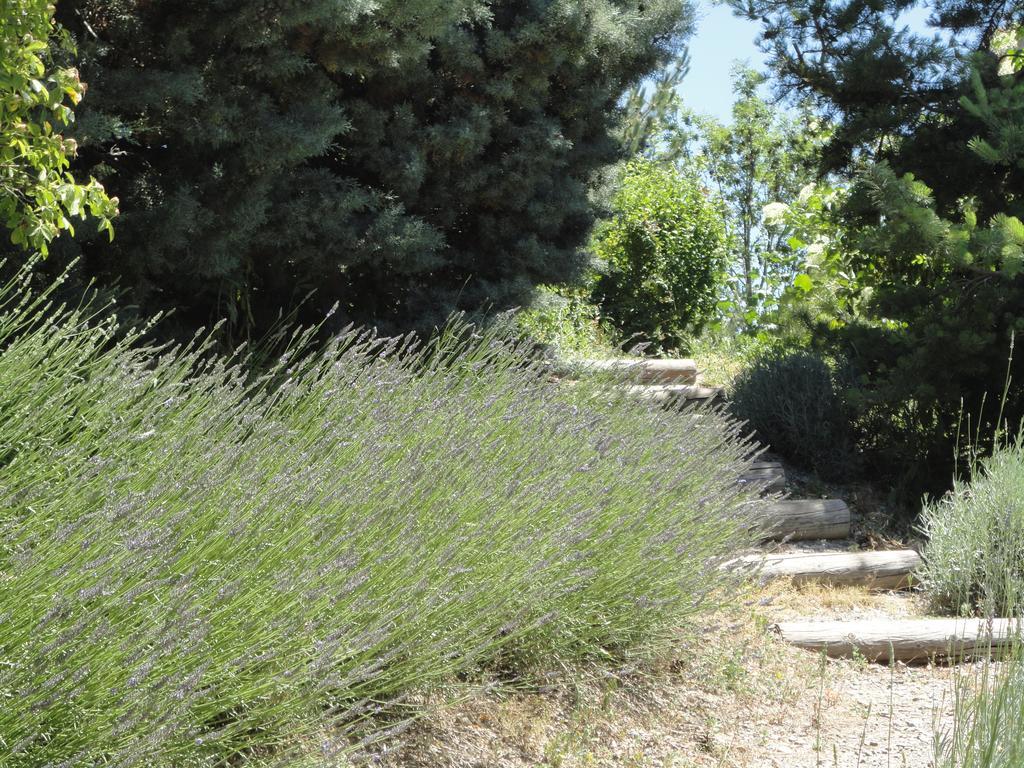 Villa Un Gite de Charme en Haute Provence à Sigoyer  Chambre photo